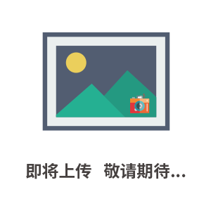CWG4.5中風(fēng)壓潛孔沖擊器